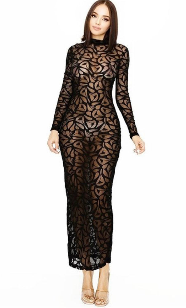 Mesh Lace Pattern Dress